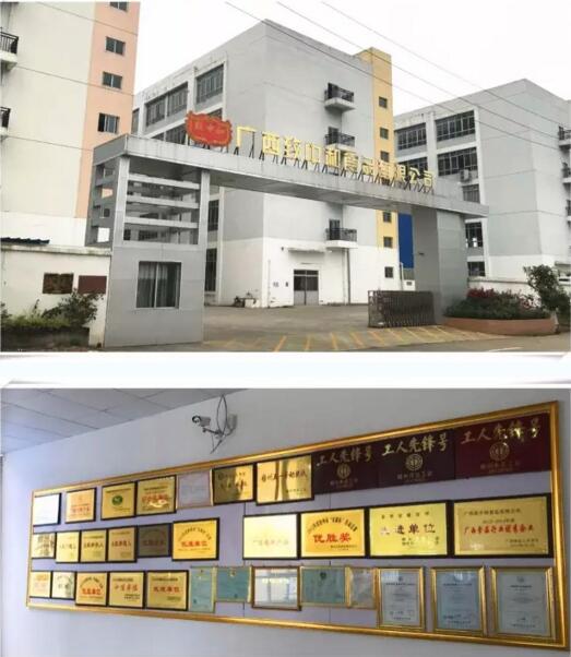 致中和高管考察广西生产基地 布局健康产业