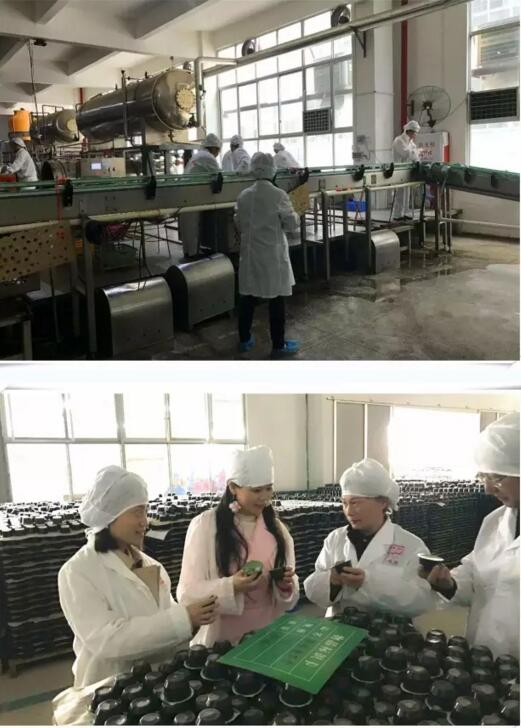 致中和高管考察广西生产基地 布局健康产业