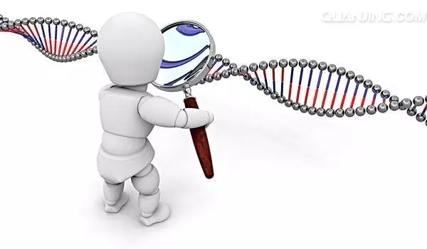 双迪三高个性化安全用药基因检测已上架