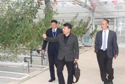 江苏省委宣传部在隆力奇调研国防教育工作