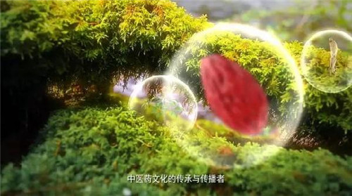 康美全新企业宣传片先导版在康美时代表彰庆典亮相