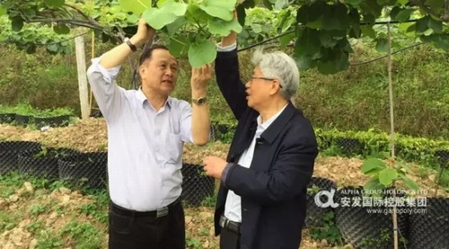 专家学者深入安发(古田)生态科技园调研指导
