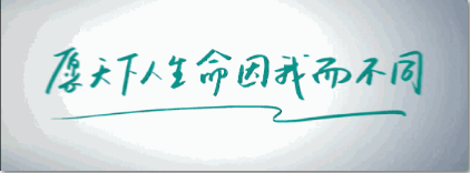 13.png