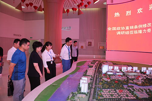 调研团参观隆力奇养生小镇沙盘模型.JPG 全国政协委员调研团蒋秋霞一行考察隆力奇