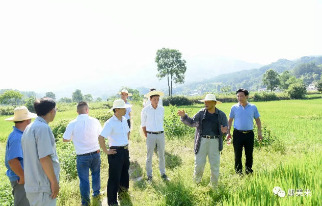 康美来余春富董事长视察云湶谷长岭农场
