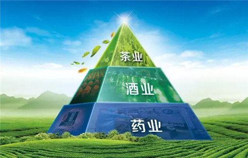 厚积薄发,进取五载——理想五年的坚守与革新