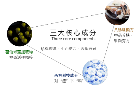 ͼƬ3.png