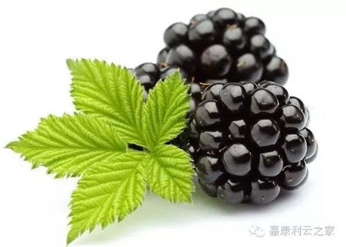 ο޹磬ƷʲЭ