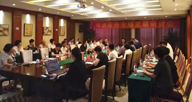 双迪股份智和、家和精英相聚西安古城,共话未来