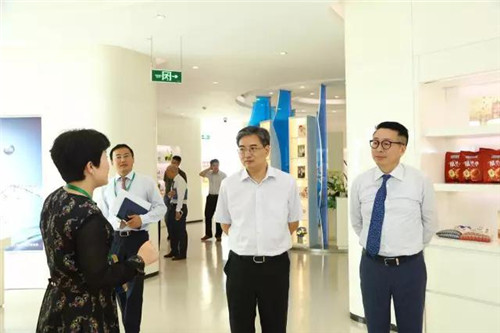 江苏省苏州市委副书记朱民一行莅临绿叶科技集团调研指导