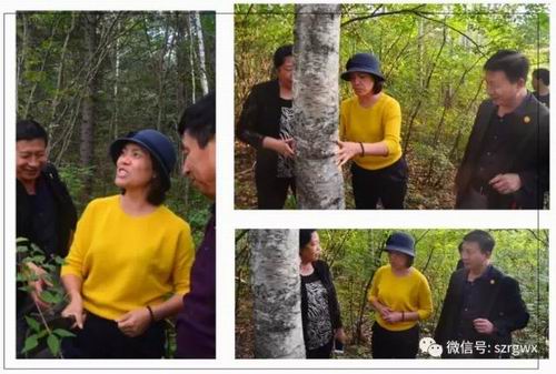 寻更优食品源 孙小玲视察荣格伊春林业基地