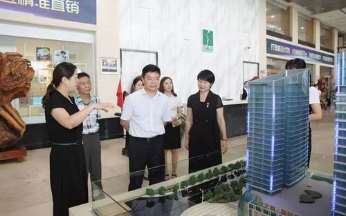 湖南商务厅副厅长肖彬一行莅临绿之韵考察