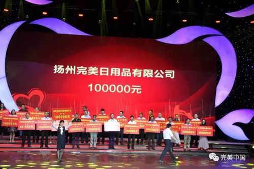筑大爱之城 扬州完美出席公益慈善义演晚会
