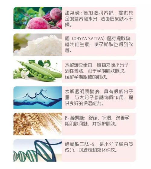 康婷旗下全新品牌新品“孕臻美”即将上线