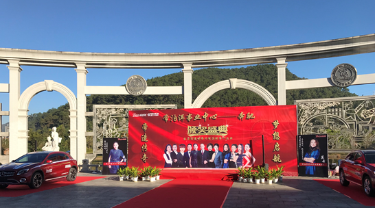 帝泊洱_帝泊洱 销售收入(3)