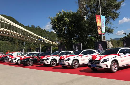 帝泊洱_帝泊洱 销售收入