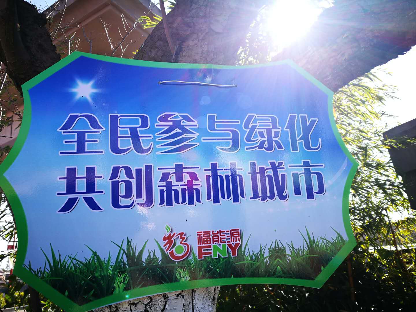图2.jpg 图2.jpg