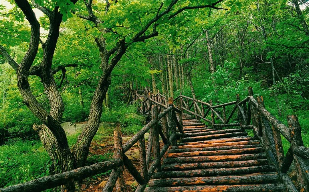 康谷温泉:一座以“自然为药”的疗养圣地