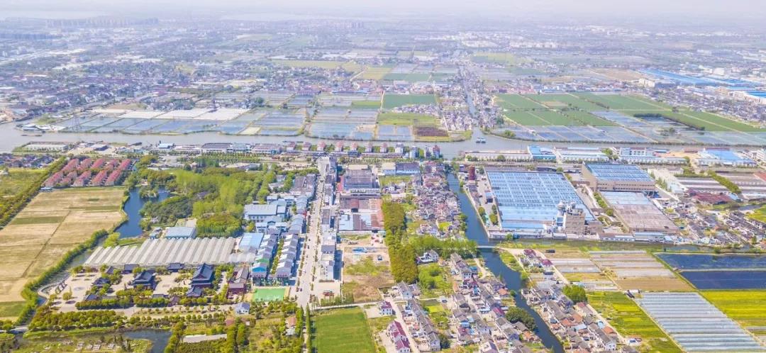 隆力奇跻身DSN全球直销企业100强