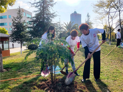 �������룬�ջ�ɹ���������조3.12���������ա�Բ������