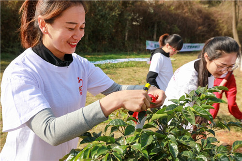 �������룬�ջ�ɹ���������조3.12���������ա�Բ������