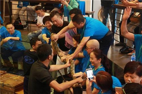隆力奇走进普吉岛毒蛇研究中心 游主题公园