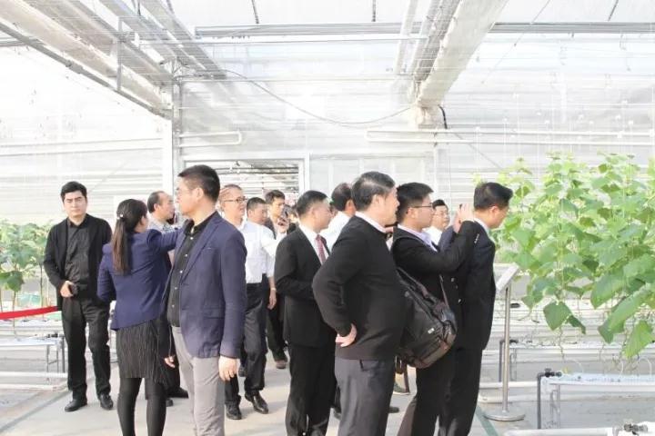 2017学习苏商好榜样走进隆力奇
