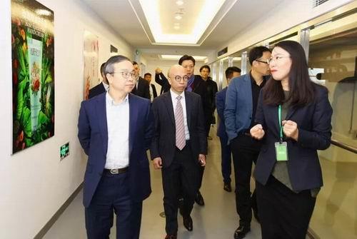 浙江省台州市人民政府副秘书长视察指导绿叶