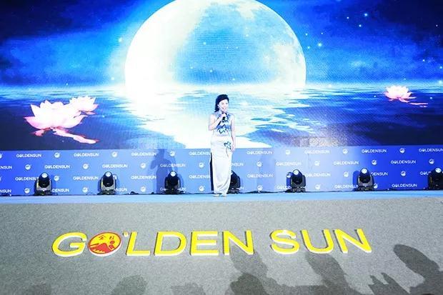 嘉年华群星闪耀,奏响金日盛世华章