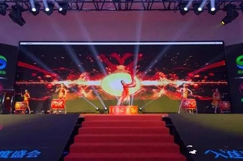 双迪股份2018年度盛会(无锡站)隆重举行