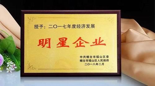 金天国际获“经济发展明星企业”等多项殊荣