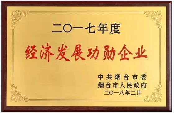 成绩斐然 金天国际2017纳税总额数亿元