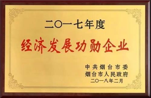 金天国际喜获“烟台市经济发展功勋企业”殊荣
