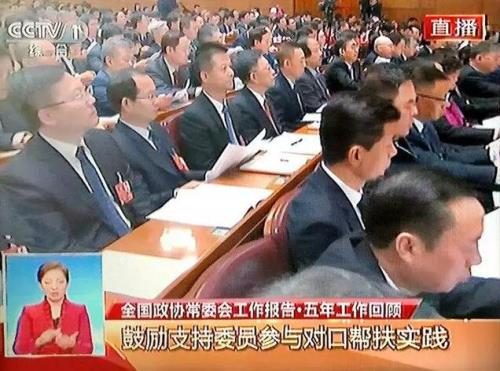 权健集团束昱辉出席全国政协十三届一次会议