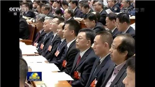 权健集团束昱辉出席全国政协十三届一次会议