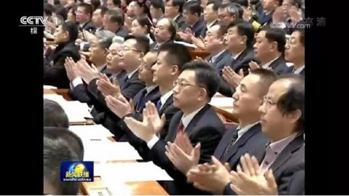权健集团束昱辉出席全国政协十三届一次会议