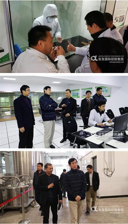 中国食用菌协会会长顾国新莅临安发生物考察调研