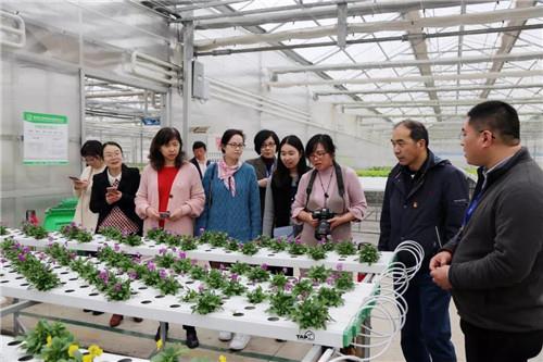 常熟市档案局局长丁磊莅临隆力奇参观考察