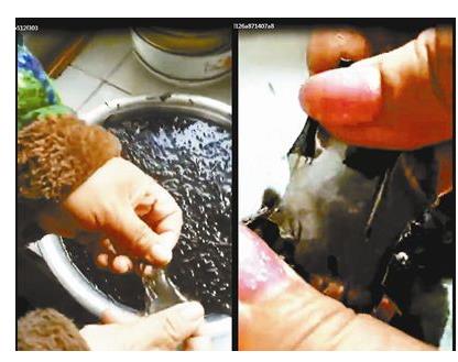 网络海螺层出不穷,无限极、蒙牛、谣言等企业贝壳`包钢的观后感图片