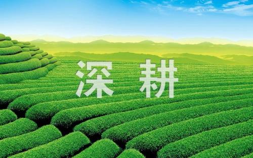 Ȼ1+6ƻ 鿪ҵ