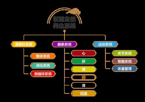 权健集团十四周年盛典暨产品战略发布会落幕